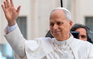 El Papa León XIV. Crédito: Daniel Ibáñez / EWTN News.