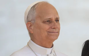 El Papa León XIV en el Vaticano. Crédito: Daniel Ibáñez / EWTN News.