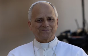 El Papa León XIV. Crédito: Daniel Ibáñez / EWTN News.