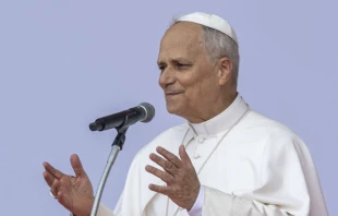 El Papa León XIV en Tor Vergata en la Misa final del Jubileo de los Jóvenes el 3 de agosto. Crédito: Daniel Ibáñez / EWTN News.