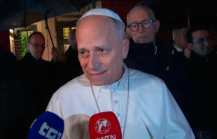 El Papa León XIV declara a los periodistas el martes 23 de diciembre, a la salida de la villa papal de Castel Gandolfo. Crédito: EWTN News.