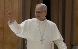 El Papa León XIV en el Aula Pablo VI en el Vaticano. Crédito: Daniel Ibáñez / EWTN News.