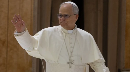 El Papa León XIV en el Aula Pablo VI en el Vaticano.