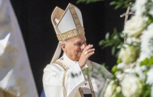 El Papa León XIV en el Vaticano. Crédito: Daniel Ibáñez / EWTN News.