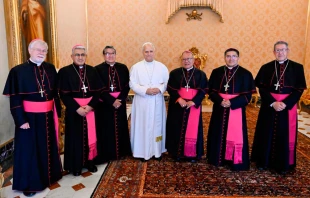 El Papa León XIV con los obispos de Bolivia este sábado en el Vaticano. Crédito: Vatican Media.