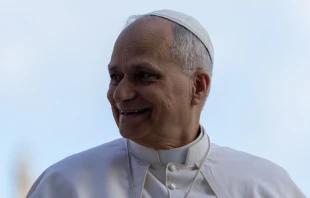 El Papa León XIV en el Vaticano. Crédito: Daniel Ibáñez / EWTN News.