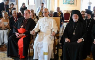 El Papa León XIV recibió en el Vaticano a una peregrinación católica ortodoxa procedente de EE.UU. Crédito: Vatican Media.