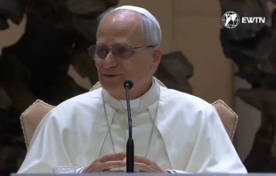 Papa León XIV en el Jubileo de los equipos sinodales. Crédito: EWTN / ACI Prensa.