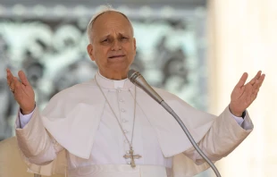 El Papa León XIV en el Vaticano. Crédito: Daniel Ibáñez / EWTN News.