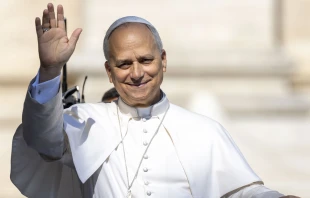 El Papa León XIV en la audiencia general del miércoles 6 de agosto en el Vaticano. Crédito: Daniel Ibáñez / EWTN News.