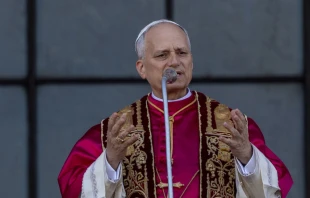 El Papa León XIV. Crédito: Daniel Ibáñez / EWTN News.