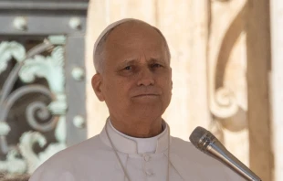 El Papa León XIV en el Vaticano. Crédito: Daniel Ibáñez / EWTN News.