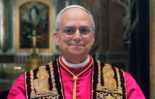 En la fotografía oficial, el Papa León XIV luce la muceta roja, la estola bordada, el roquete y la cruz pectoral dorada. Crédito: Vatican Media