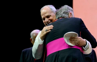 El Papa León XIV y el sacerdote español se unen en un emotivo abrazo. Crédito: Vatican Media.