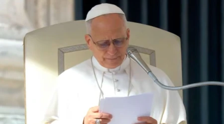 El Papa León XIV en la audiencia jubilar de este sábado 22 de noviembre en el Vaticano.