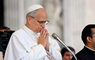 El Papa León XIV. Crédito: Vatican Media.