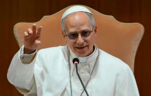 El Papa León XIV. Crédito: Vatican Media.