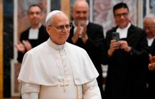 El Papa León XIV durante su encuentro del 15 de mayo de 2025 con los Hermanos de las Escuelas Cristianas. Crédito: Vatican Media.