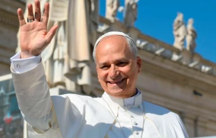 El Papa León XIV. Crédito: Vatican Media.