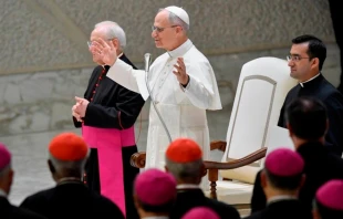 El Papa León XIV en su encuentro con los trabajadores del Vaticano y funcionarios de la Curia Romana. Crédito: Vatican Media.