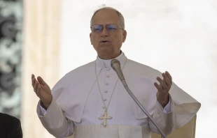 El Papa León XIV en el Vaticano. Crédito: Daniel Ibáñez / EWTN News.