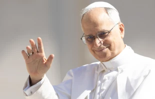 El Papa León XIV en la Audiencia General de este 28 de mayo Crédito: Daniel Ibáñez/ EWTN News