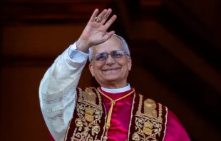 El Papa León XIV. Crédito: Daniel Ibáñez / EWTN News.