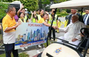 El Papa Francisco tras su llegada a Singapur Crédito: Vatican Media