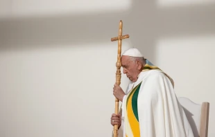 Imagen del Papa Francisco durante la Misa en Bélgica de este 29 de septiembre Crédito: Daniel Ibáñez/EWTN News