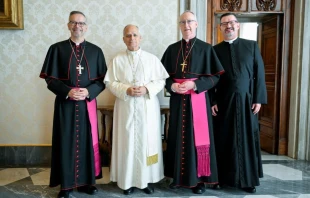 El Papa León XIV y los obispos de Canadá. Crédito: Vatican Media.