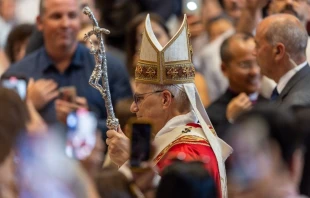 El Papa León XIV, durante la fiesta de San Pedro y San Pablo, el 29 de junio de 2025. Crédito: Daniel Ibáñez/EWTN.