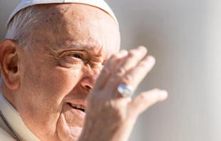 El Papa Francisco este 28 de agosto Crédito: Daniel Ibáñez/ ACI Prensa