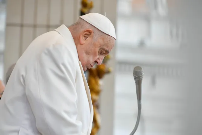 Imagen referencial del Papa Francisco durante una Audiencia General