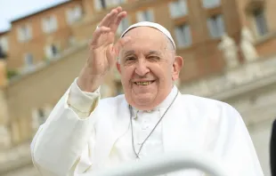El Papa Francisco durante una Audiencia General Crédito: Vatican Media