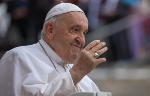 Imagen referencial del Papa Francisco durante una Audiencia General Crédito: Daniel Ibáñez/ ACI Prensa