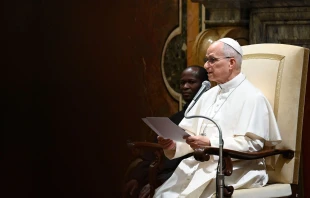 Imagen del Papa León XIV a asesores laborales en el Vaticano Crédito: Vatican Media