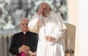 Imagen referencial del Papa Francisco Crédito: Daniel Ibáñez/ EWTN News