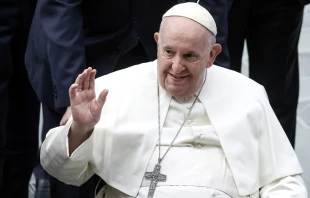 Papa Francisco. Crédito: Alessia Pierdomenico - Shutterstock