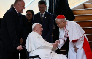 El Papa Francisco llega a Singapur Crédito: Daniel Ibáñez/ EWTN News
