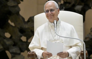 El Papa León XIV. Crédito: Vatican Media.