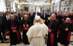 El Papa León XIV saluda a los 130 teólogos que recibió este 13 de septiembre en el Vaticano. Crédito: Vatican Media.