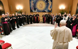 El Papa Francisco recibe a los miembros de la Comisión Teológica Internacional Crédito: Vatican Media