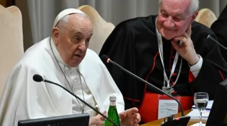 El Papa Francisco subraya que “el peligro más feo” es la ideología de género.