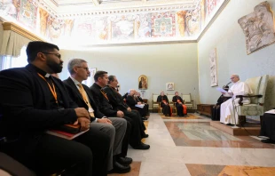 El Papa durante la audiencia Crédito: Vatican Media