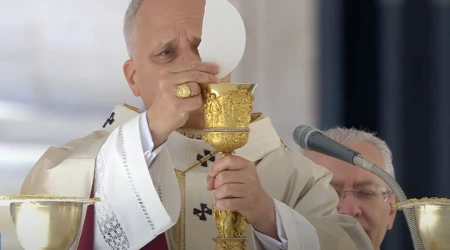El Papa en la Misa de este domingo