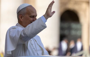 El Papa en una imagen de archivo Crédito: Daniel Ibañez/ EWTN News