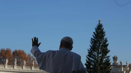 El Papa con el abeto de 27 metros que está en la plaza de San Pedro por Navidad