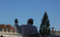 El Papa con el abeto de 27 metros que está en la plaza de San Pedro por Navidad