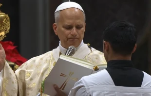 El Papa lee la homilía de la Misa del día de Navidad Crédito: captura de pantalla Vatican Media