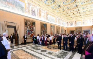 El Papa, durante la audiencia en el Palacio Apostólico Crédito: Vatican Media